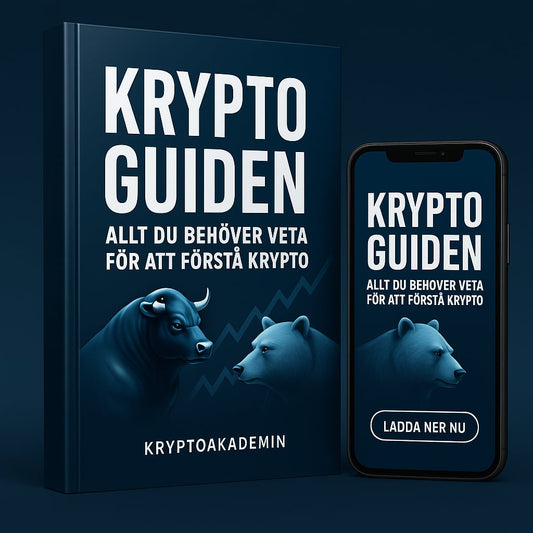Krypto Guiden – Från Nybörjare till Smart Investerare